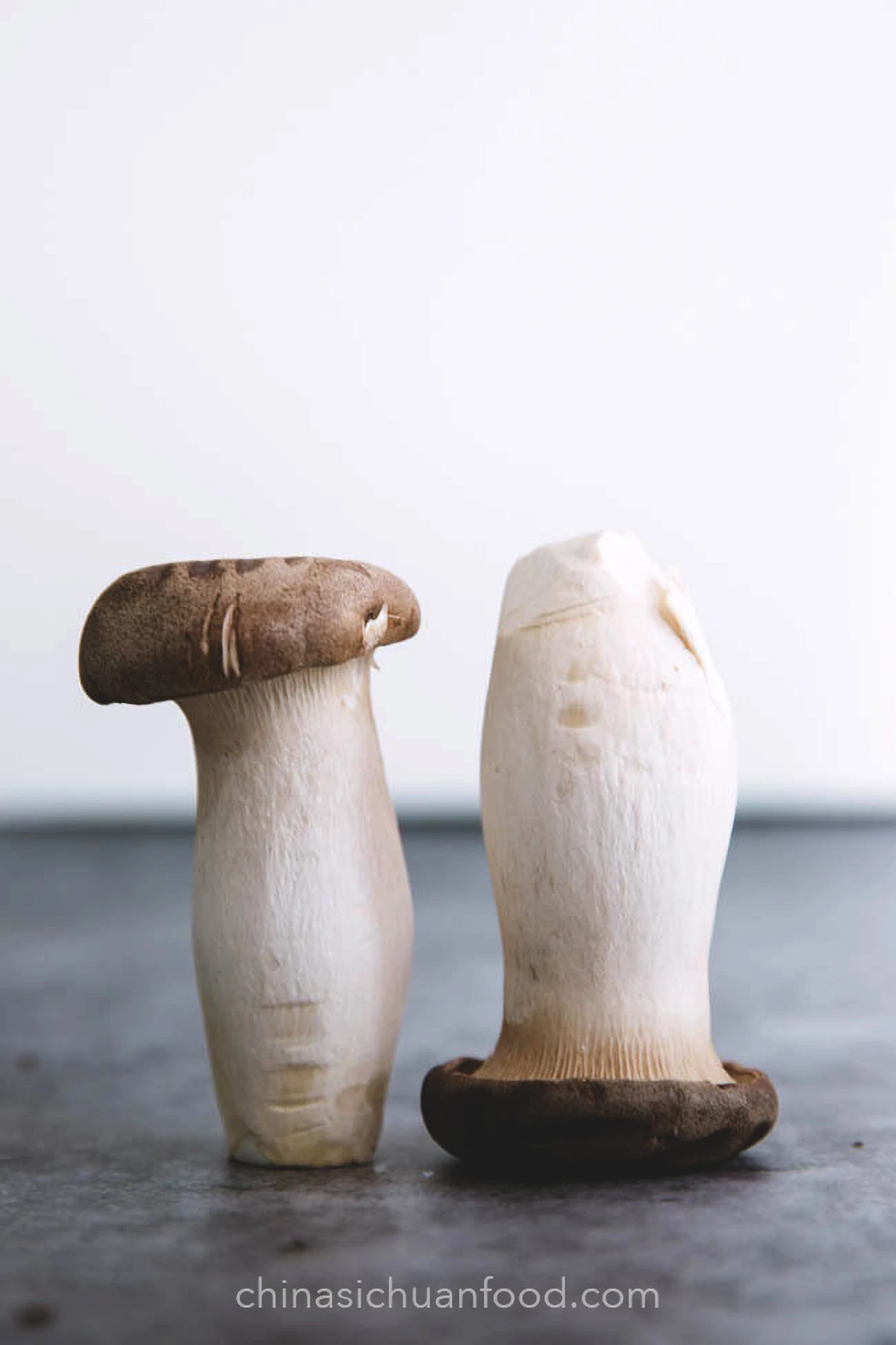 Pan-Fried King Oyster Mushroom|chinasichuanfood.com